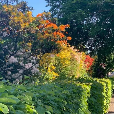 Hotel Starmax Hotel's *