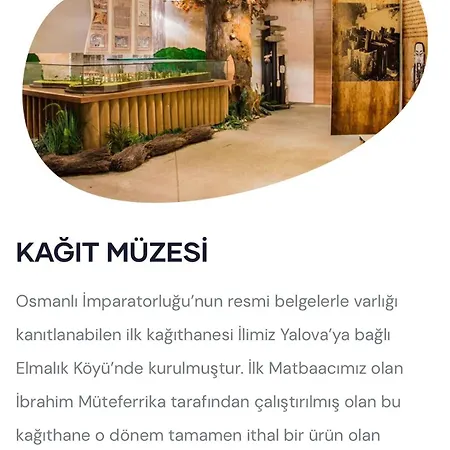 Hotel Starmax Hotel's